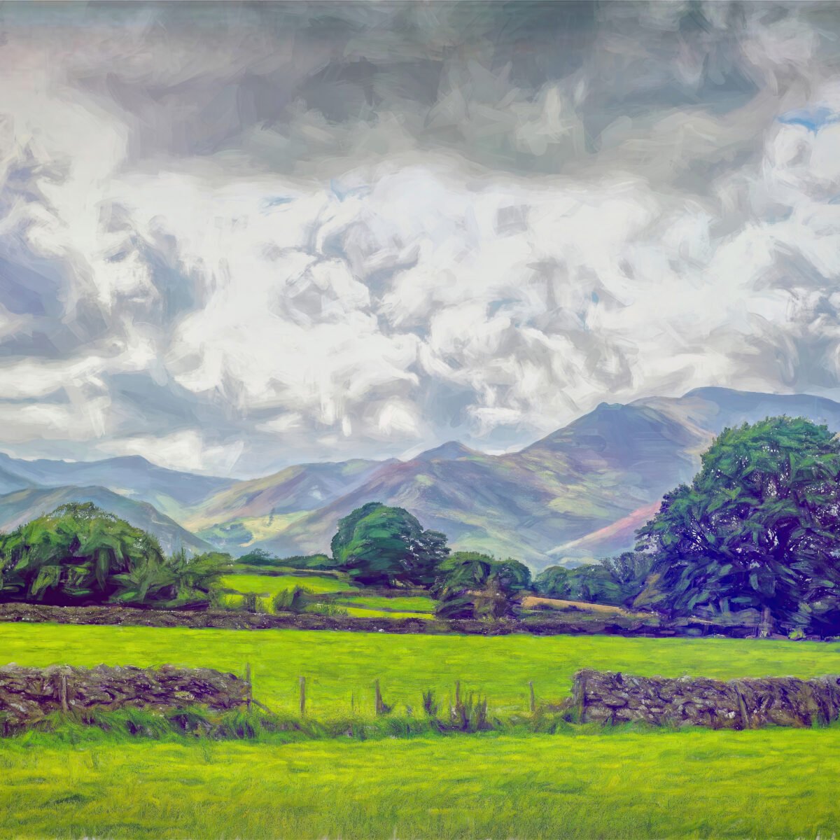 Across The Meadow
